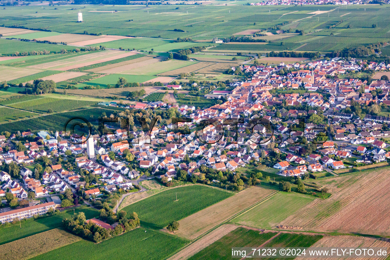 Ortsteil Lachen in Neustadt an der Weinstraße im Bundesland Rheinland-Pfalz, Deutschland aus der Drohnenperspektive