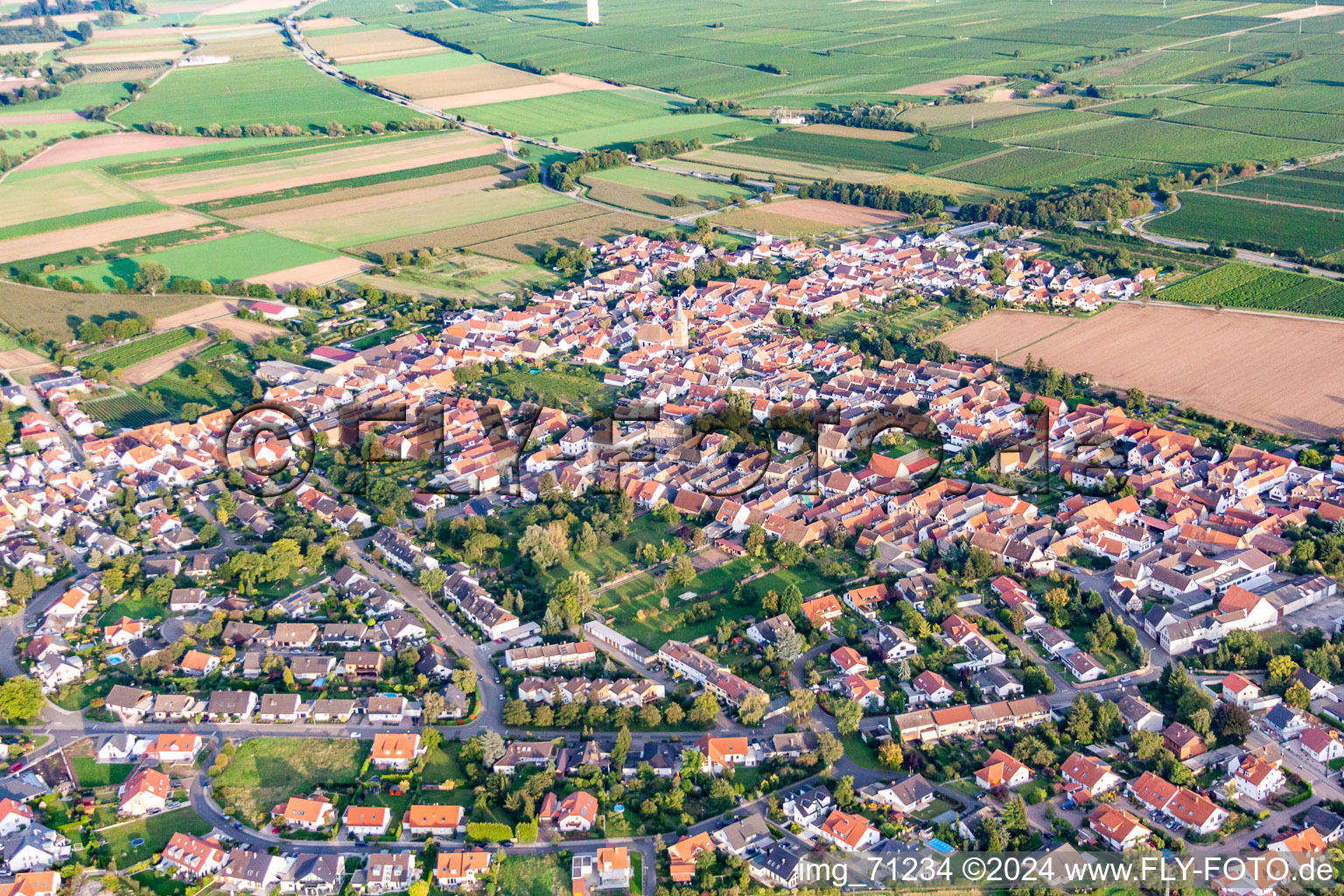 Ortsteil Lachen in Neustadt an der Weinstraße im Bundesland Rheinland-Pfalz, Deutschland von einer Drohne aus