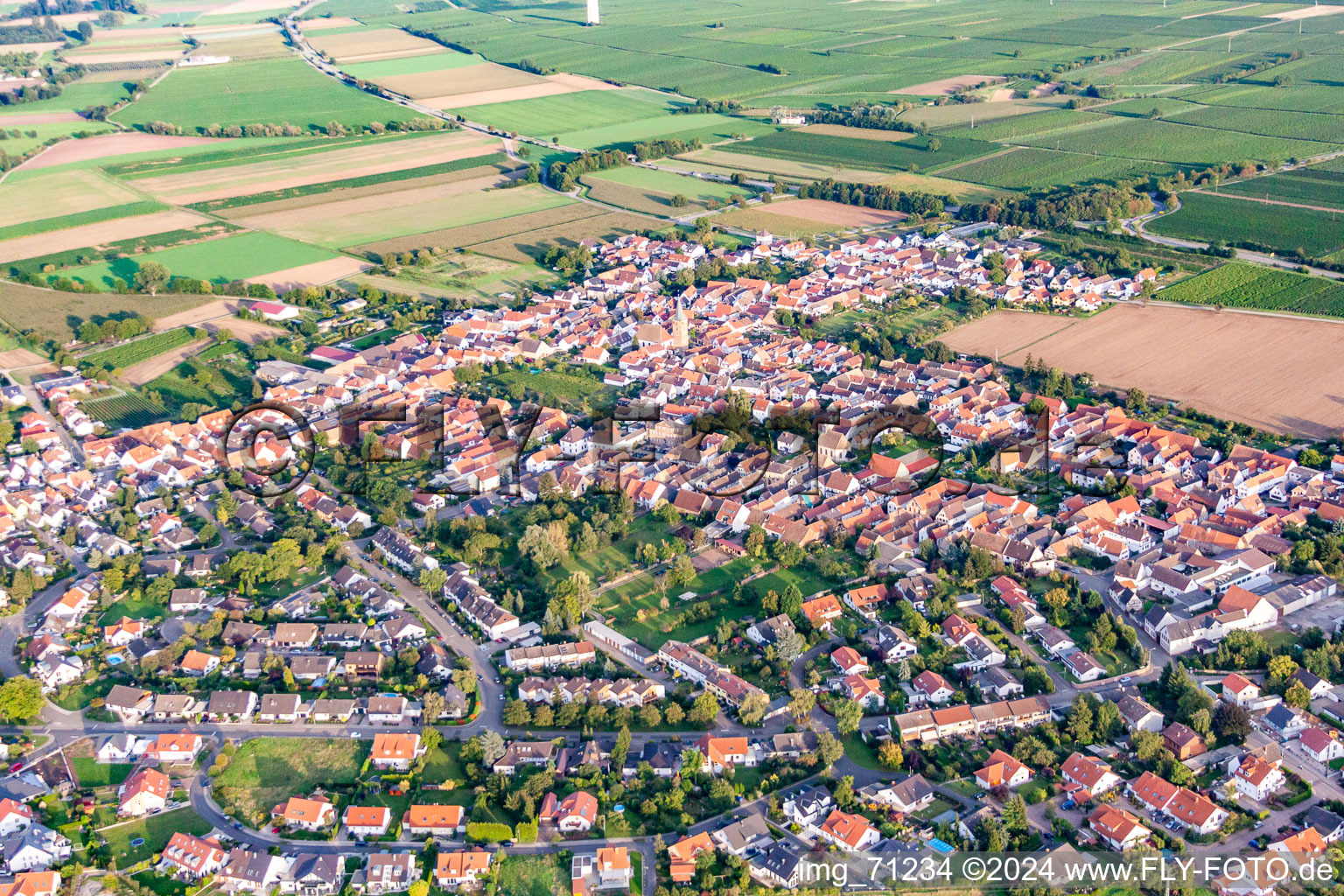 Luftbild von Ortsteil Lachen in Neustadt an der Weinstraße im Bundesland Rheinland-Pfalz, Deutschland