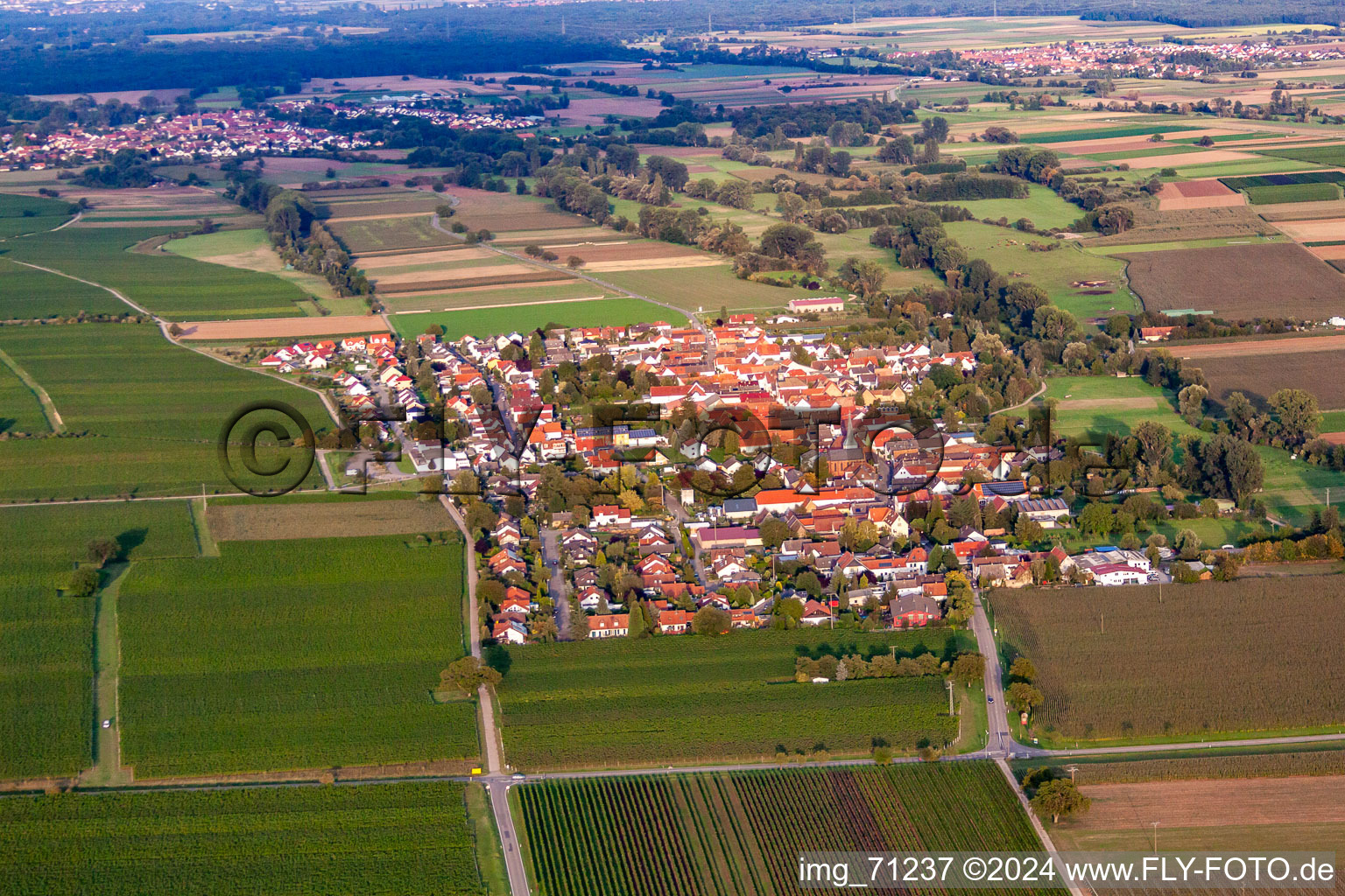 Ortsteil Duttweiler in Neustadt an der Weinstraße im Bundesland Rheinland-Pfalz, Deutschland von oben gesehen