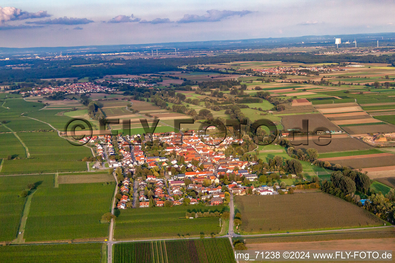 Ortsteil Duttweiler in Neustadt an der Weinstraße im Bundesland Rheinland-Pfalz, Deutschland vom Flugzeug aus