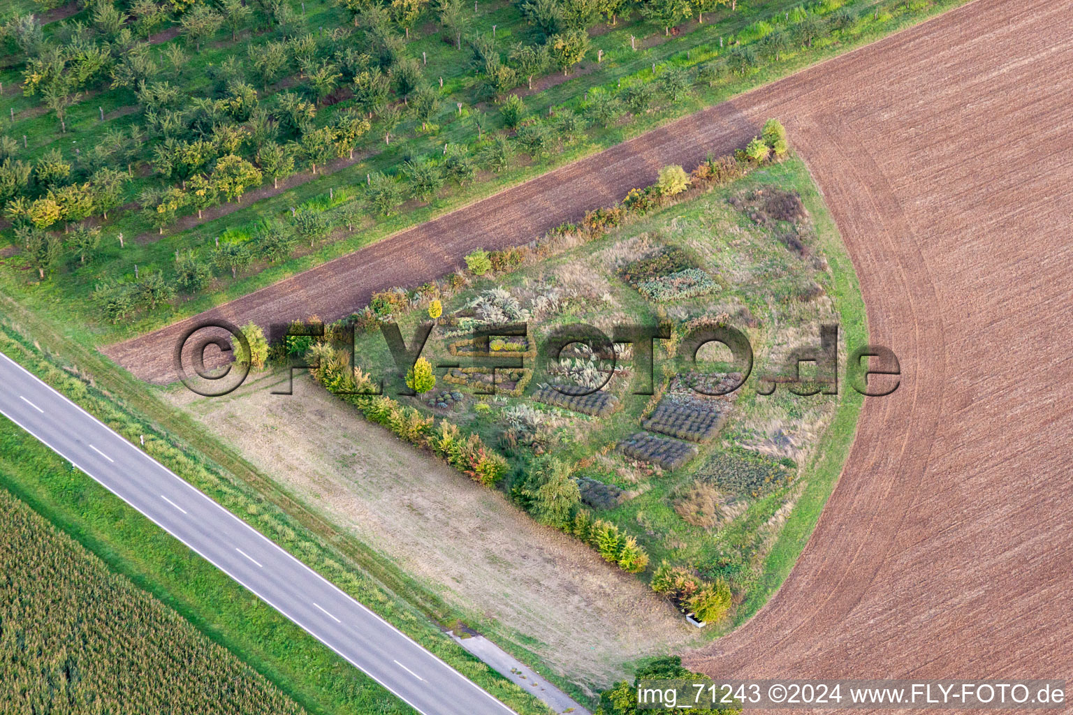 Strukturen auf landwirtschaftlichen Feldern mit einem Test - Beet am Feldrand im Ortsteil Eckel in Kleinfischlingen im Bundesland Rheinland-Pfalz, Deutschland