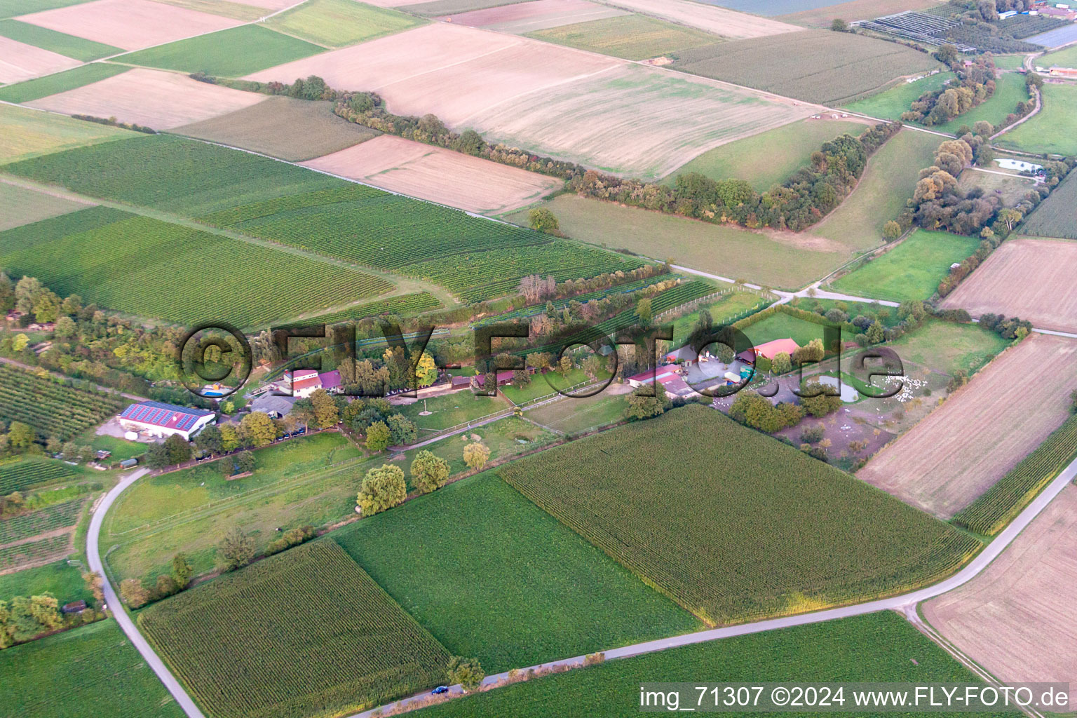 Luftbild von Wagnerranch in Herxheim bei Landau im Bundesland Rheinland-Pfalz, Deutschland