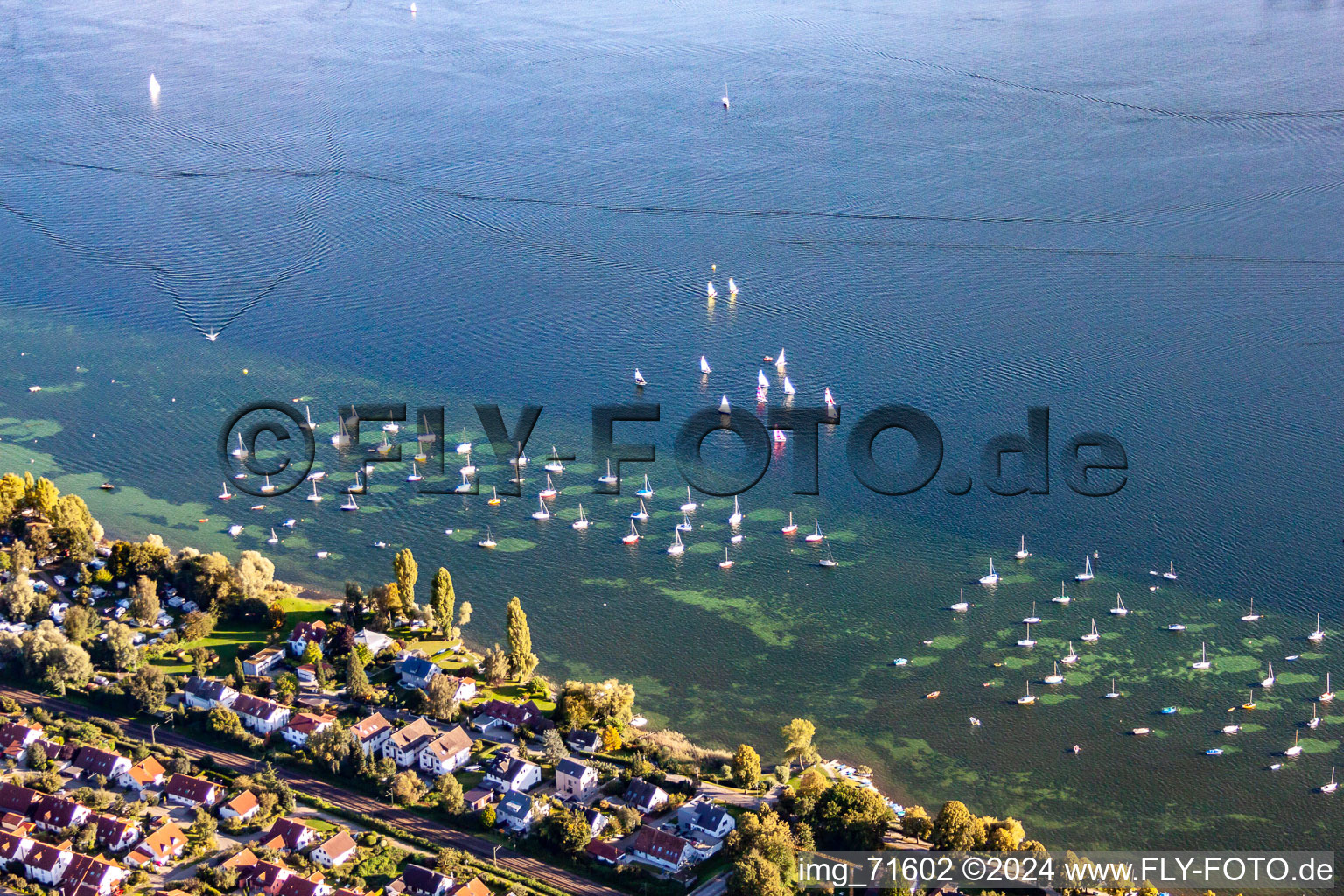 Schrägluftbild von Segelbootanleger in Allensbach im Bundesland Baden-Württemberg, Deutschland