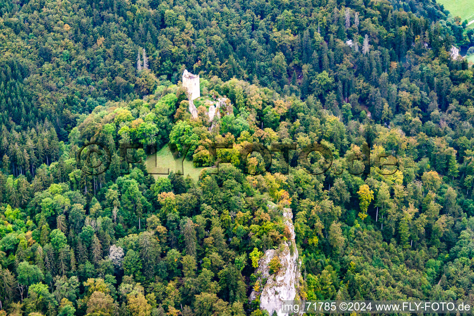 Burgruine Kallenberg in Buchheim im Bundesland Baden-Württemberg, Deutschland