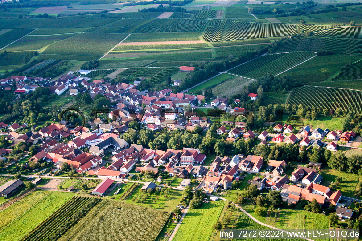 Luftaufnahme von Dorf - Ansicht am Rande von landwirtschaftlichen Feldern und Nutzflächen in Dierbach im Bundesland Rheinland-Pfalz, Deutschland