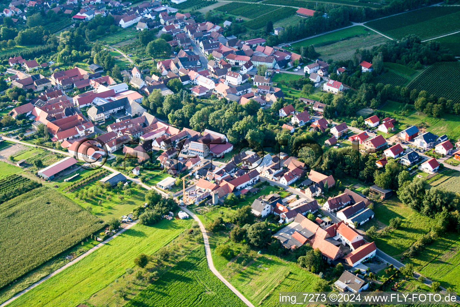 Schrägluftbild von Dorf - Ansicht am Rande von landwirtschaftlichen Feldern und Nutzflächen in Dierbach im Bundesland Rheinland-Pfalz, Deutschland