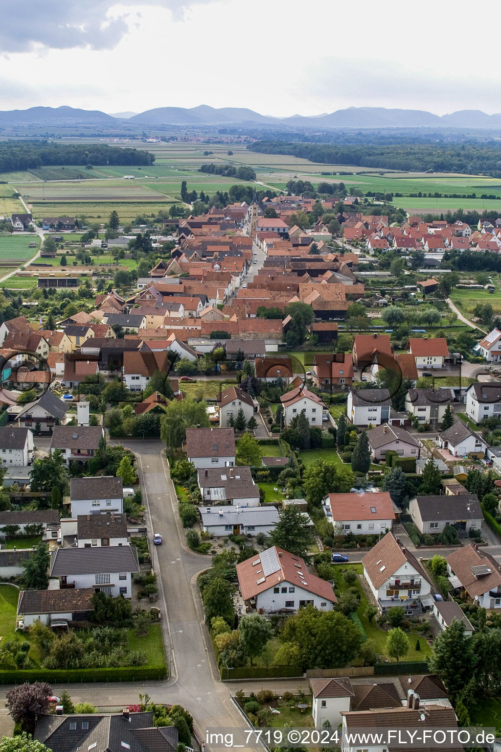 Erlenbach bei Kandel im Bundesland Rheinland-Pfalz, Deutschland von einer Drohne aus