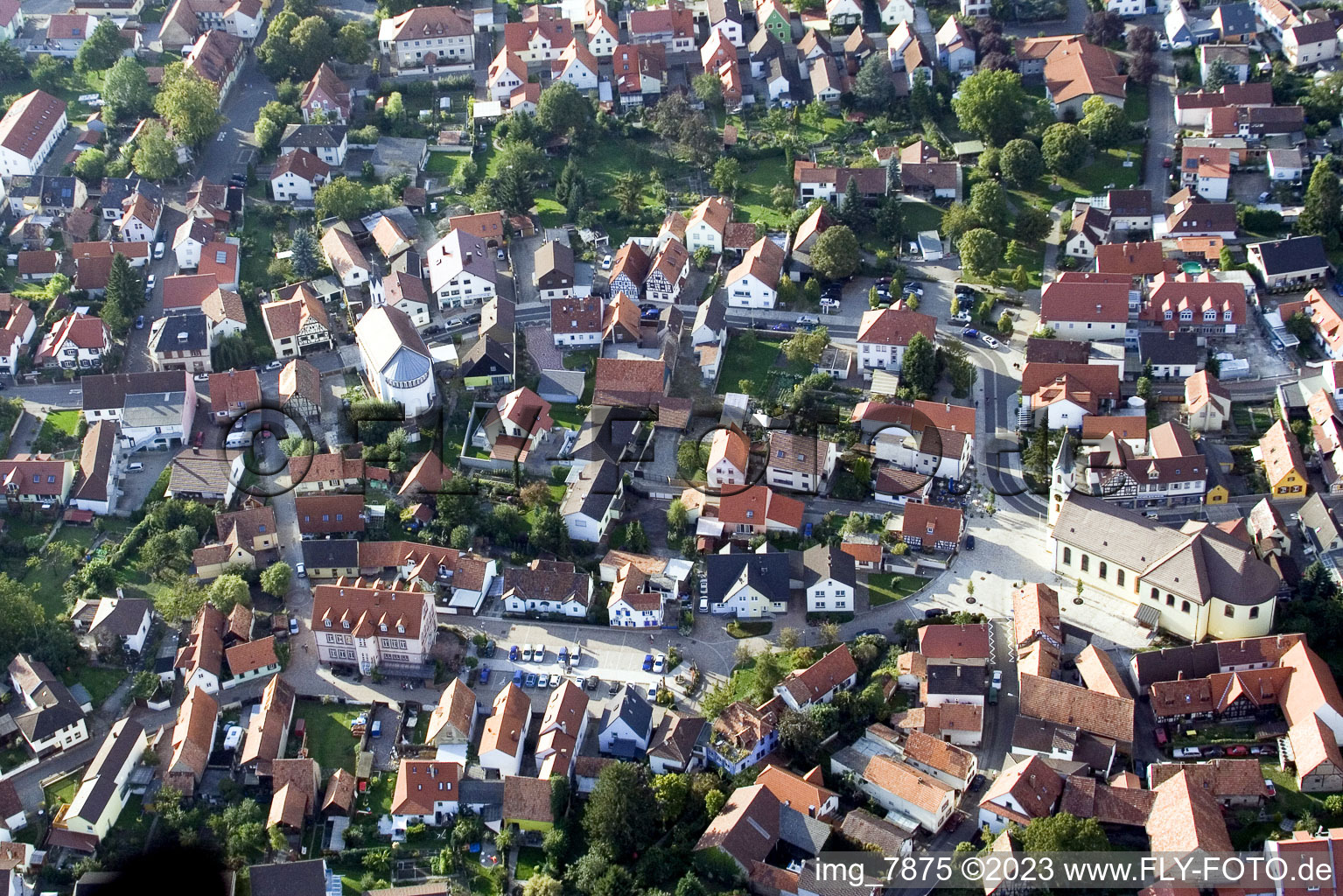 Ortsteil Maximiliansau in Wörth am Rhein im Bundesland Rheinland-Pfalz, Deutschland von oben
