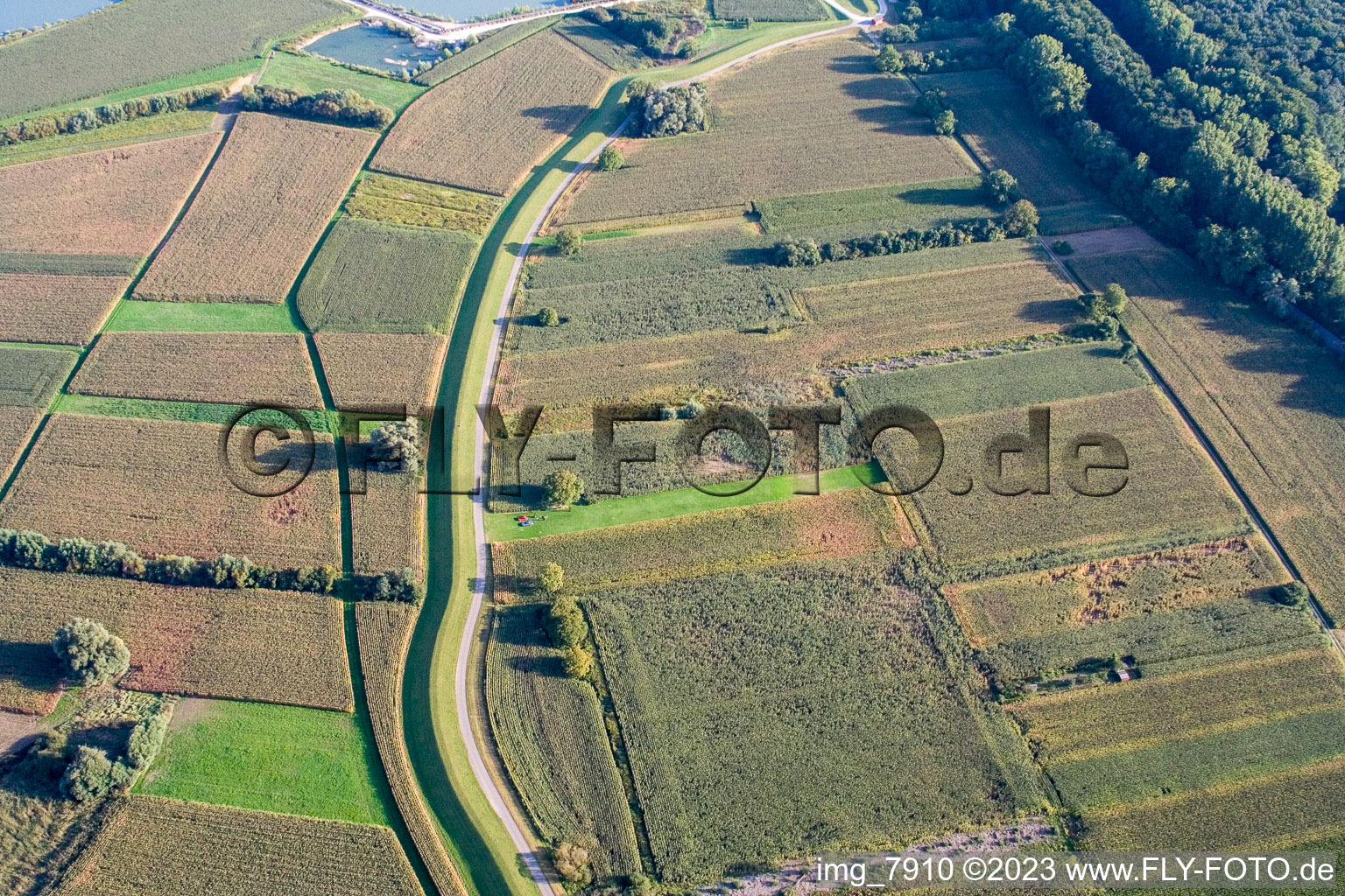Luftbild von Hagenbach Modellflugplatz im Bundesland Rheinland-Pfalz, Deutschland
