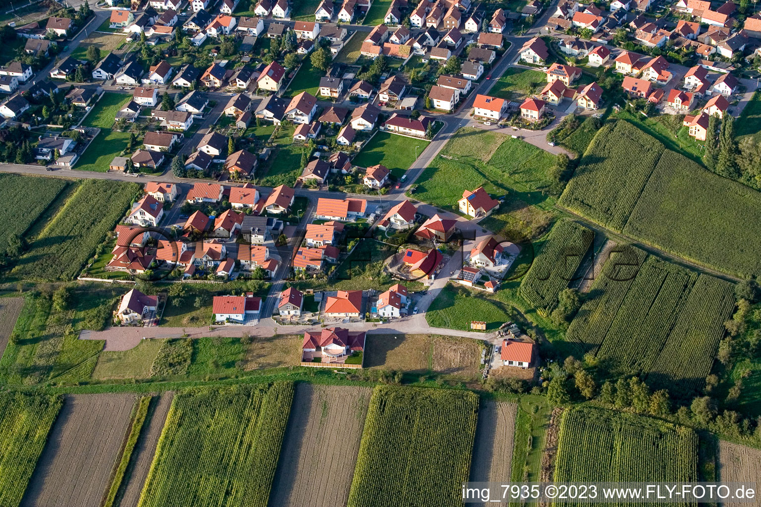 Luftbild von Neuburg im Bundesland Rheinland-Pfalz, Deutschland
