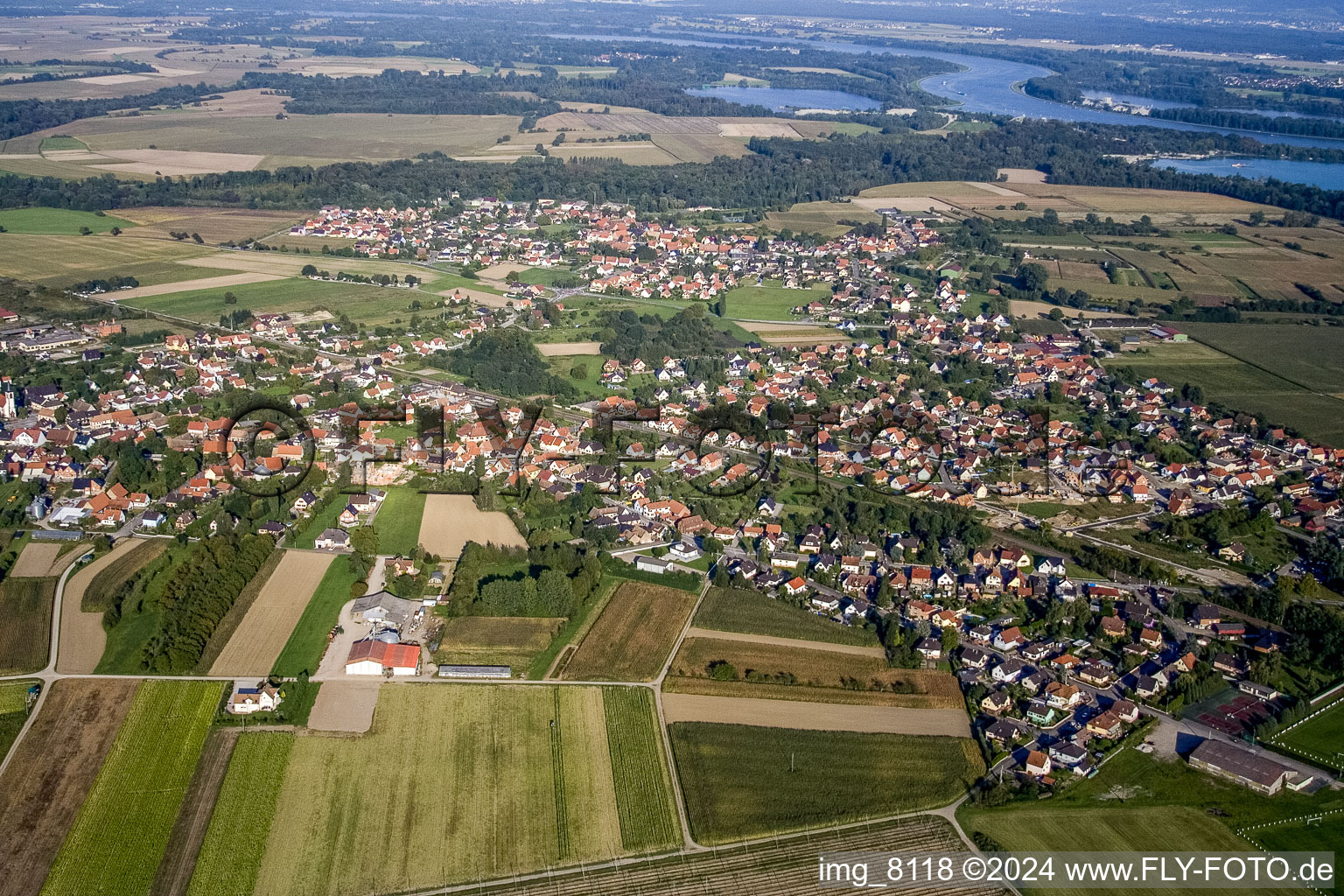 Luftbild von Dorf - Ansicht am Rande von landwirtschaftlichen Feldern und Nutzflächen in Sessenheim in Grand Est im Bundesland Bas-Rhin, Frankreich
