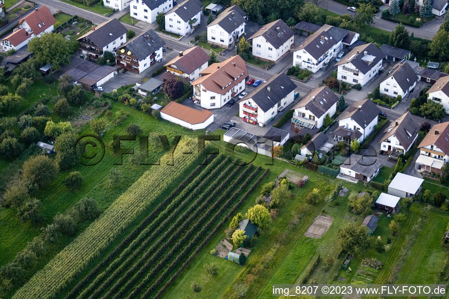 Urloffen, Runzweg in Appenweier im Bundesland Baden-Württemberg, Deutschland aus der Luft