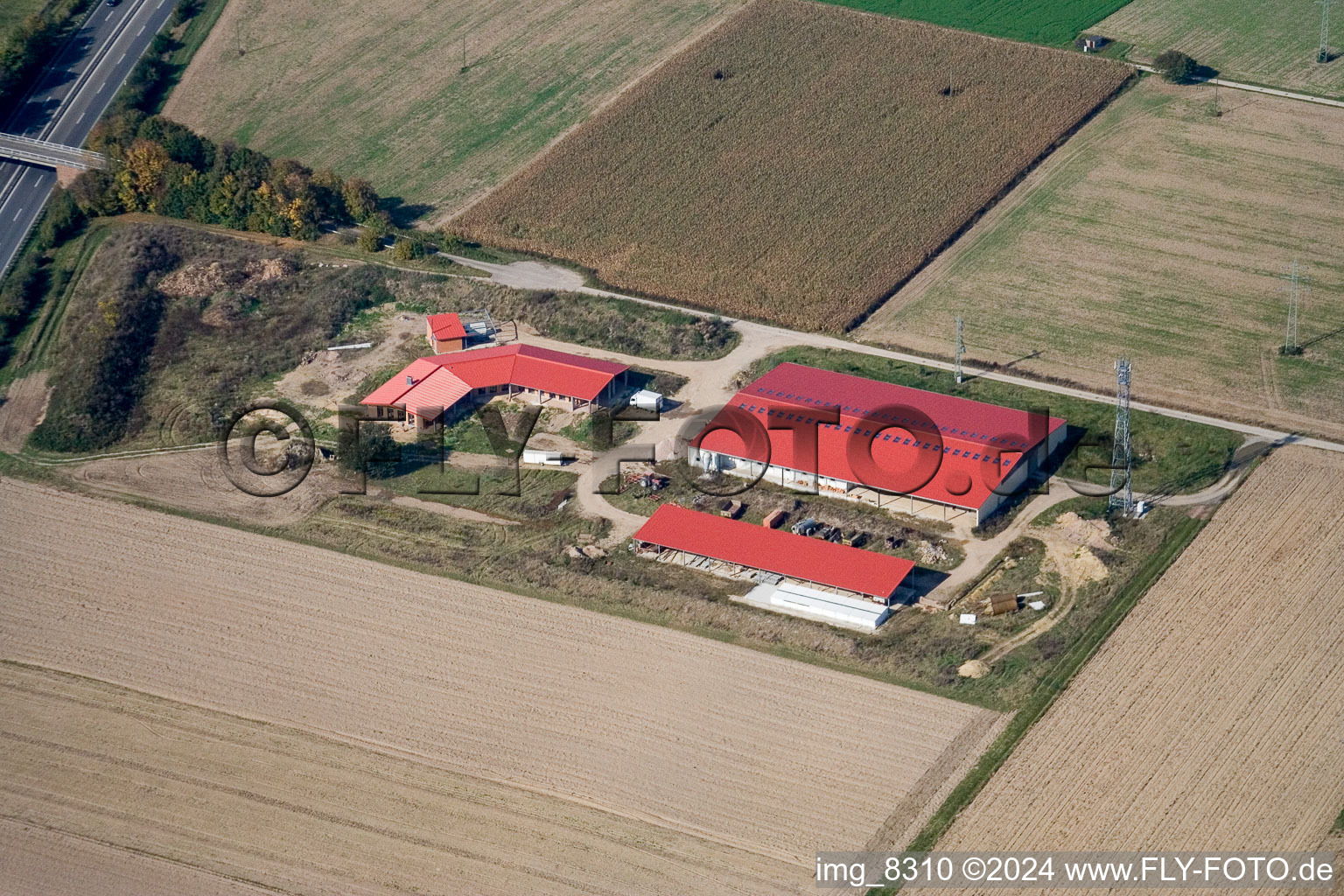 Hühnerhof Eierfarm in Erlenbach bei Kandel im Bundesland Rheinland-Pfalz, Deutschland aus der Vogelperspektive