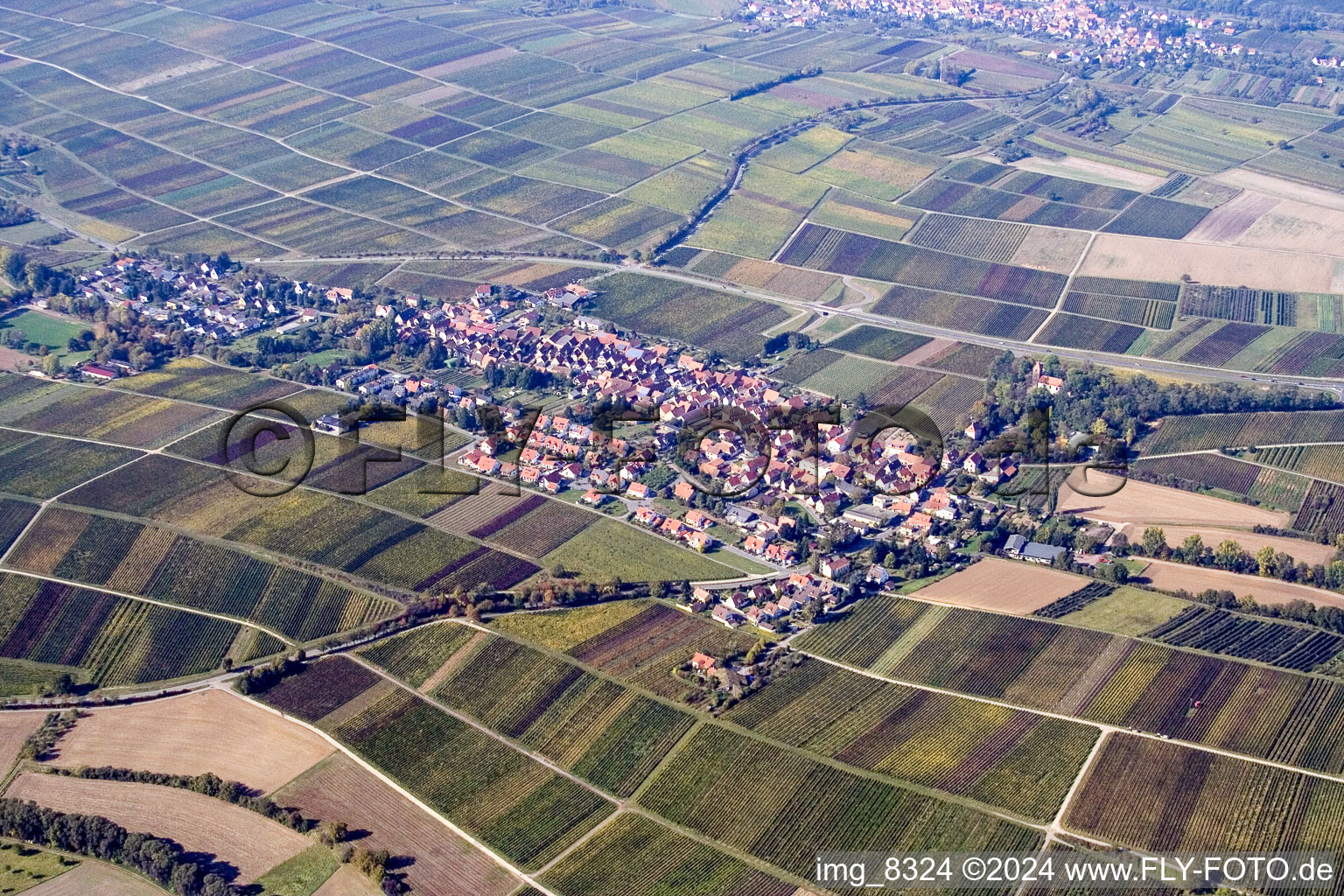Dorf - Ansicht am Rande von landwirtschaftlichen Feldern und Nutzflächen im Ortsteil Wollmesheim in Landau in der Pfalz im Bundesland Rheinland-Pfalz, Deutschland