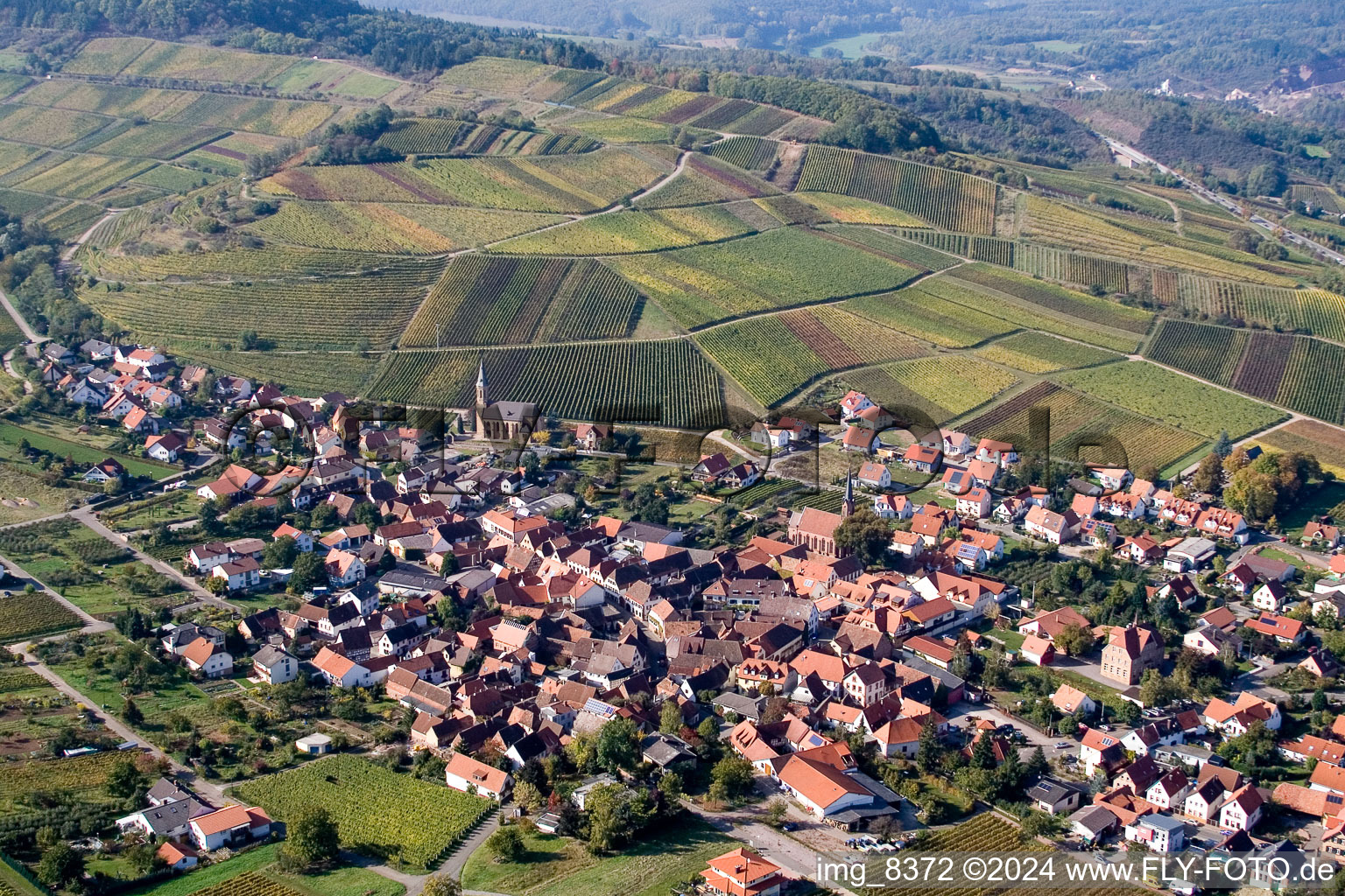 Dorf - Ansicht am Rande von Weinbergen in Birkweiler im Bundesland Rheinland-Pfalz, Deutschland