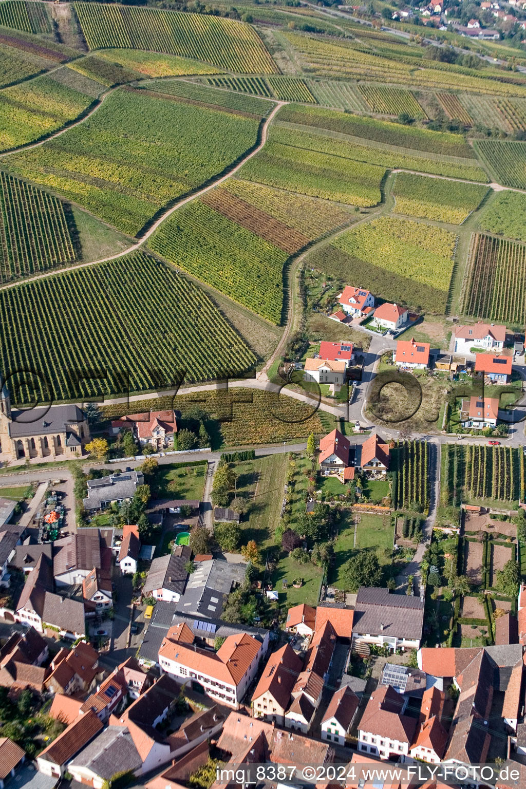 Dorf - Ansicht am Rande von Weinbergen und Nutzflächen in Birkweiler im Bundesland Rheinland-Pfalz, Deutschland
