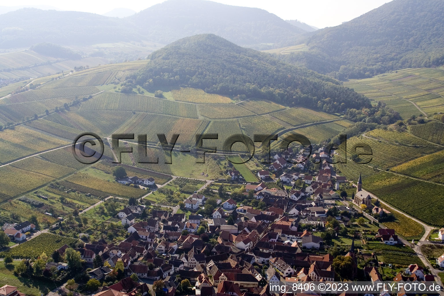 Birkweiler, Kastanienbusch im Bundesland Rheinland-Pfalz, Deutschland aus der Luft betrachtet