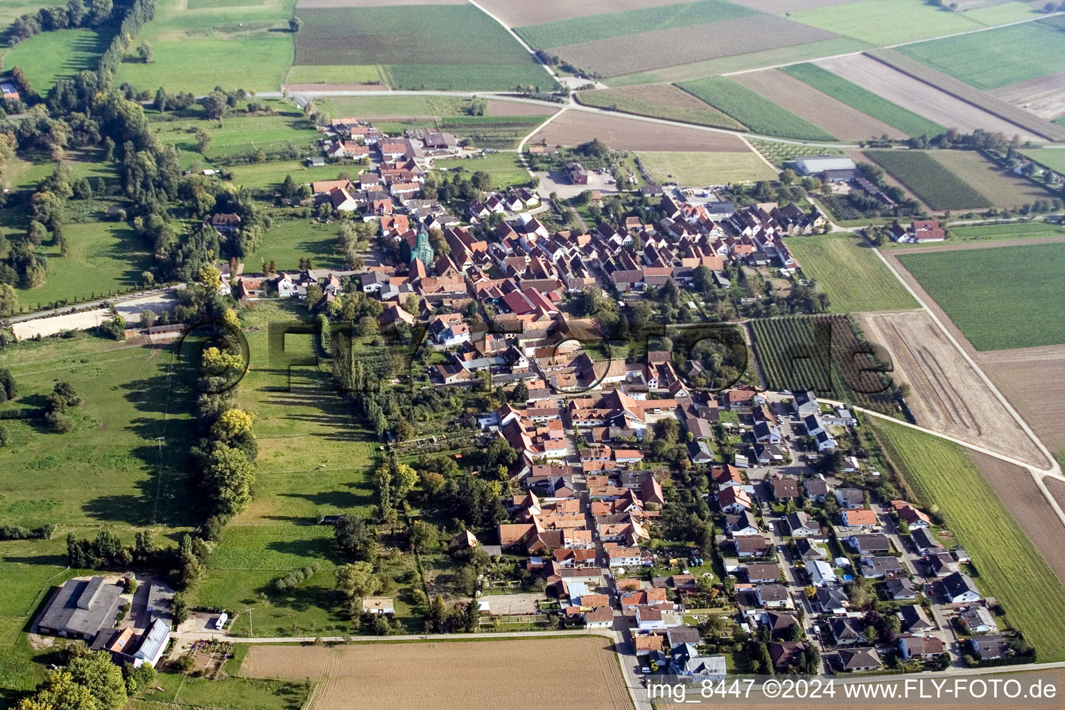 Ortsansicht der Straßen und Häuser der Wohngebiete im Ortsteil Mühlhofen in Billigheim-Ingenheim im Bundesland Rheinland-Pfalz, Deutschland aus der Luft
