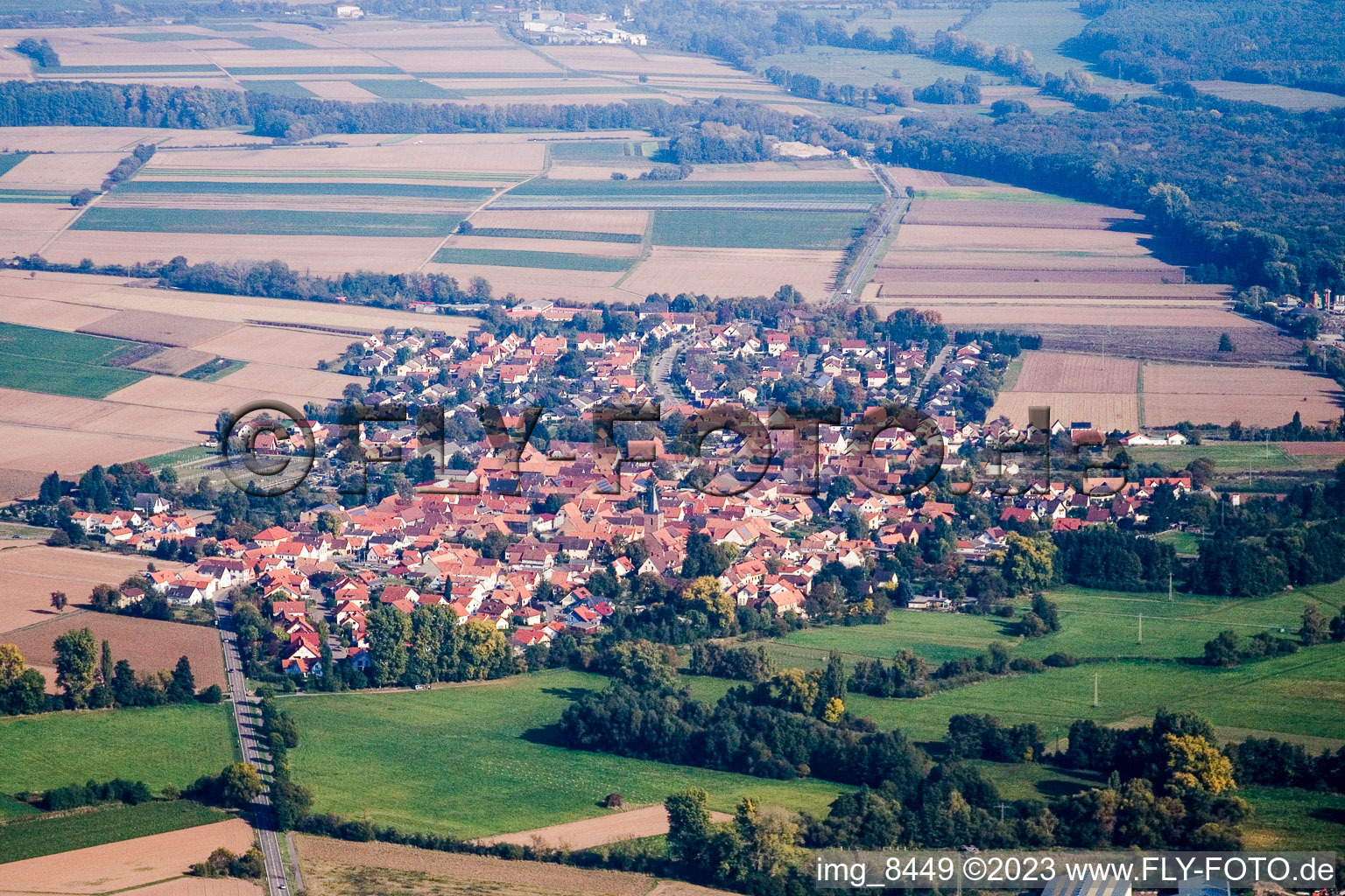 Rohrbach im Bundesland Rheinland-Pfalz, Deutschland von oben gesehen