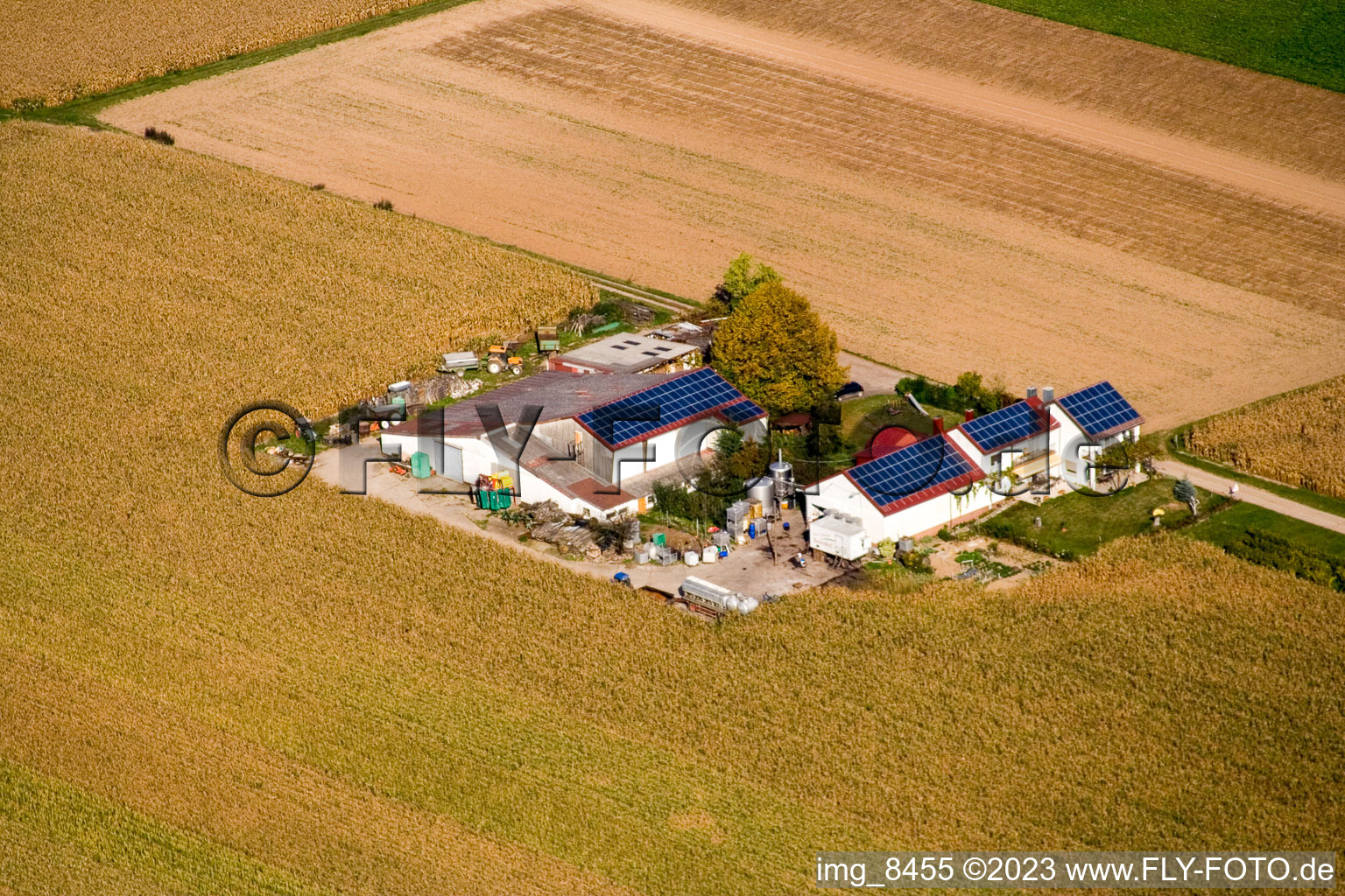 Steinweiler, Rosenhof im Bundesland Rheinland-Pfalz, Deutschland aus der Luft