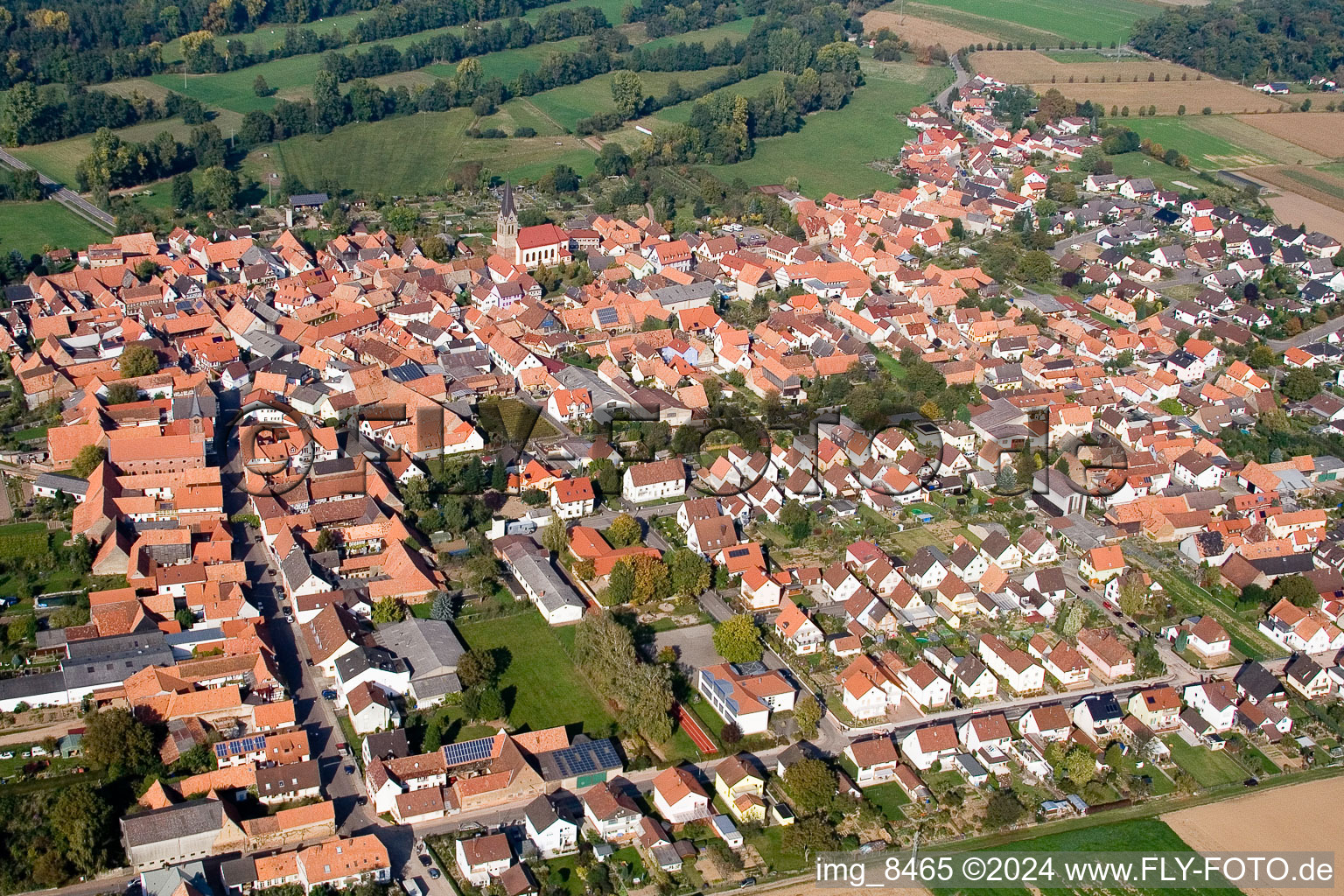 Luftaufnahme von Dorf - Ansicht am Rande von landwirtschaftlichen Feldern und Nutzflächen in Steinweiler im Bundesland Rheinland-Pfalz, Deutschland