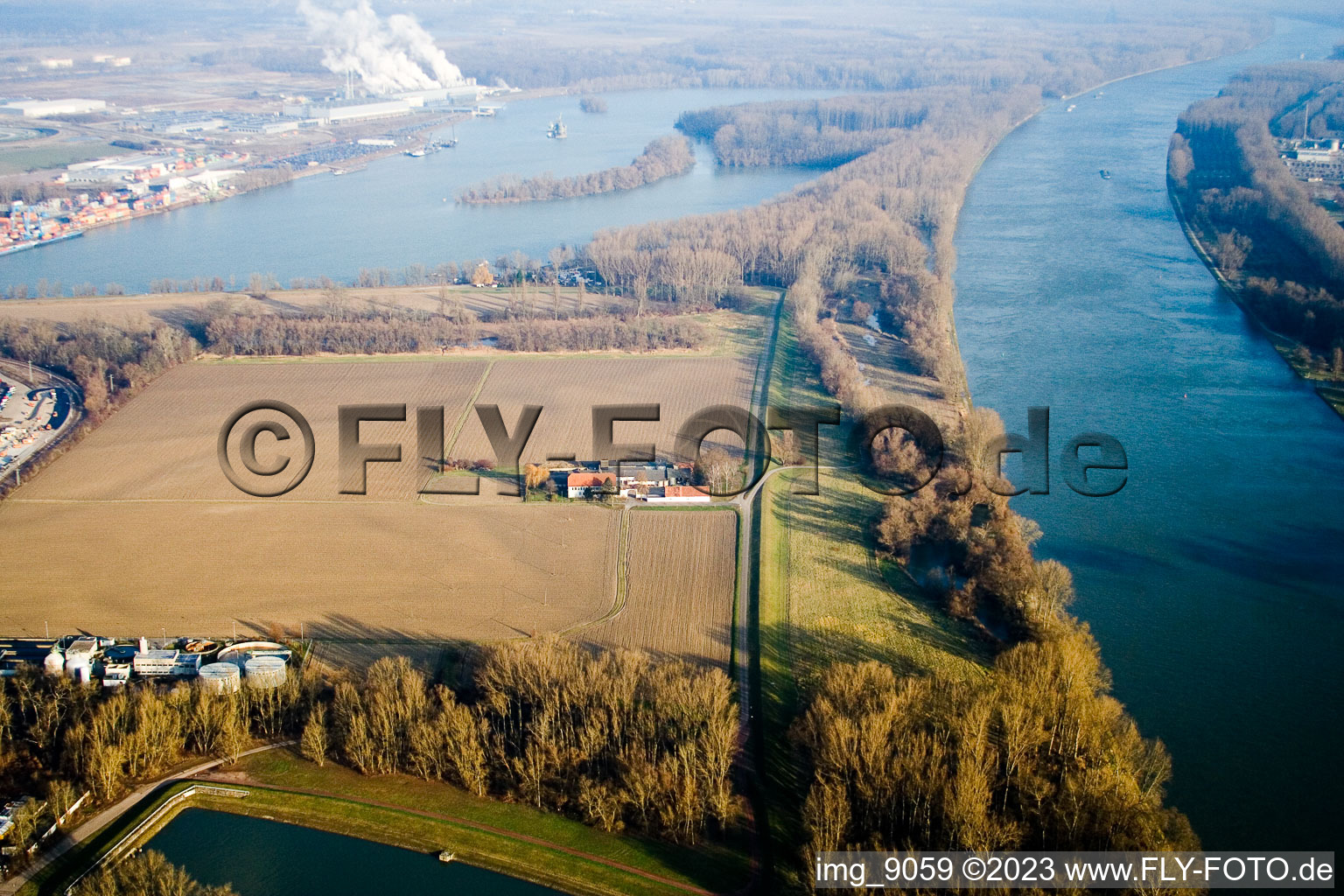 Ortsteil Maximiliansau in Wörth am Rhein im Bundesland Rheinland-Pfalz, Deutschland aus der Luft betrachtet
