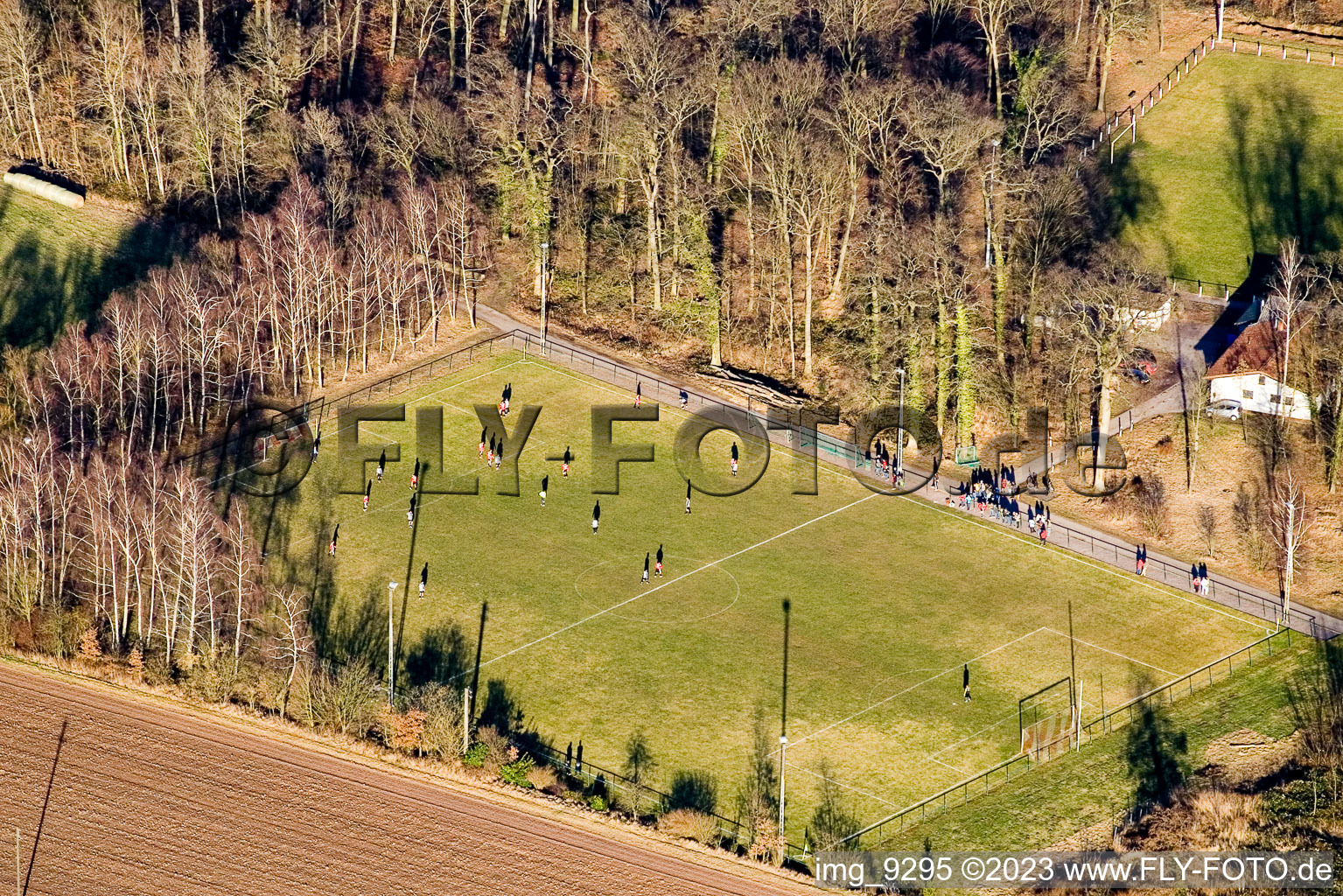 Steinweiler, Sportplätze im Bundesland Rheinland-Pfalz, Deutschland vom Flugzeug aus