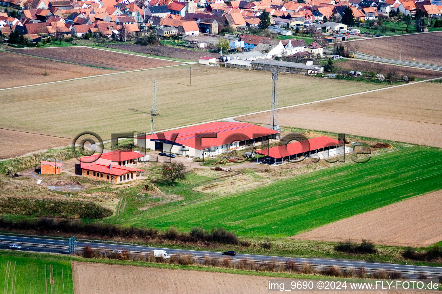 Hühnerhof Eierfarm in Erlenbach bei Kandel im Bundesland Rheinland-Pfalz, Deutschland aus der Luft betrachtet