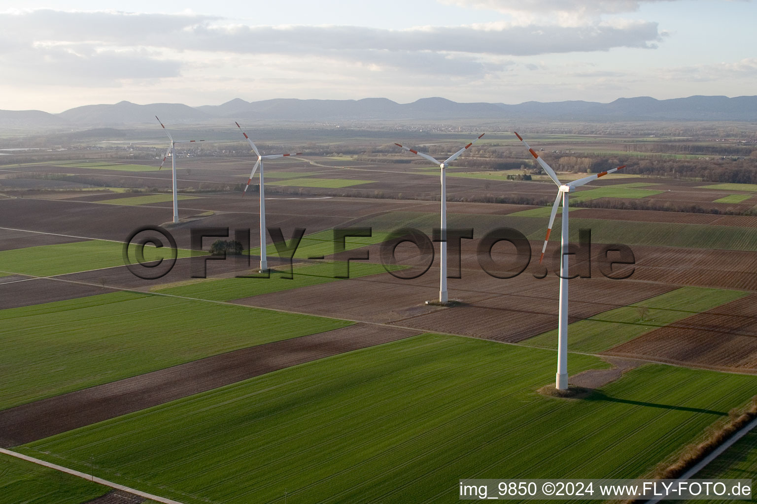 Luftbild von Windenergieanlagen ( WEA ) - Windrad- auf einem Feld in Minfeld im Bundesland Rheinland-Pfalz, Deutschland