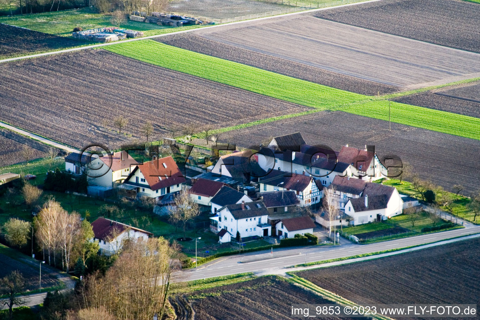 Minfeld, Welschhof im Bundesland Rheinland-Pfalz, Deutschland von oben gesehen