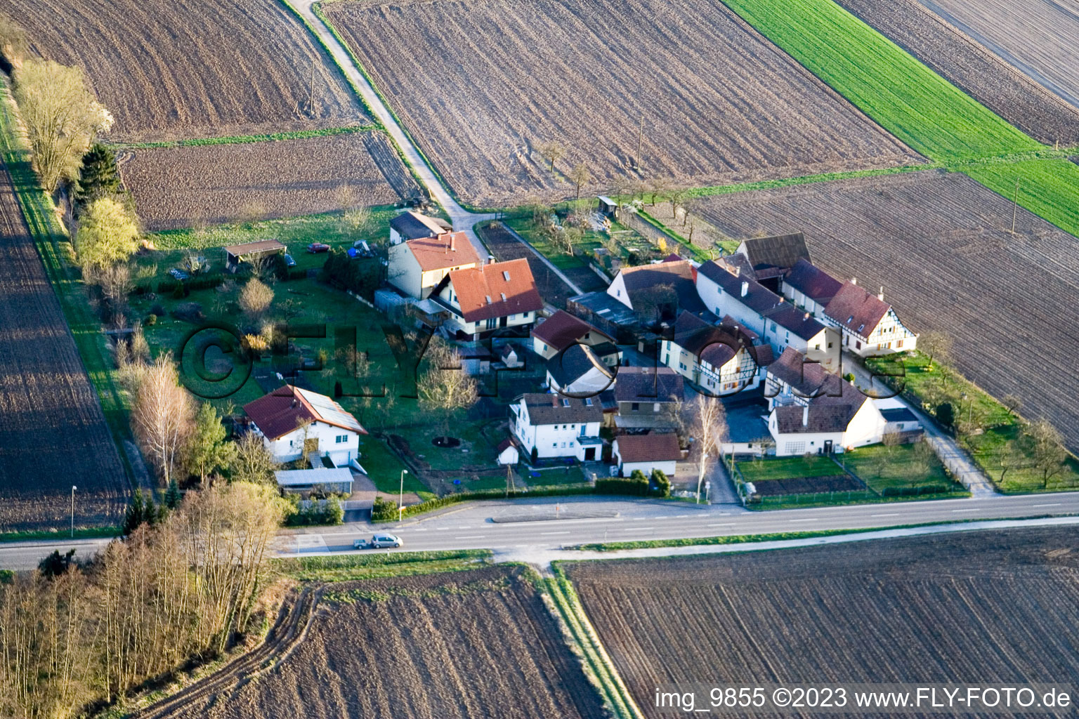 Minfeld, Welschhof im Bundesland Rheinland-Pfalz, Deutschland aus der Vogelperspektive