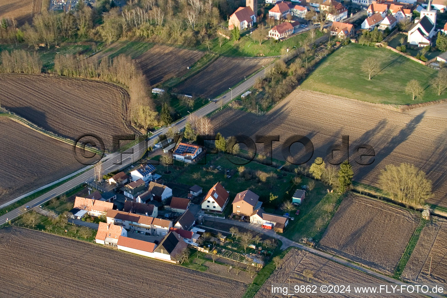 Dorf - Ansicht am Rande von landwirtschaftlichen Feldern und Nutzflächen in Minfeld im Bundesland Rheinland-Pfalz, Deutschland aus der Luft