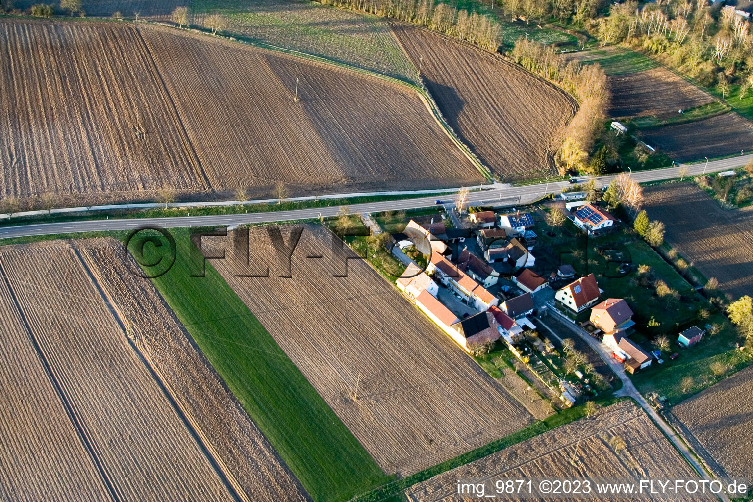 Minfeld, Welschhof im Bundesland Rheinland-Pfalz, Deutschland vom Flugzeug aus