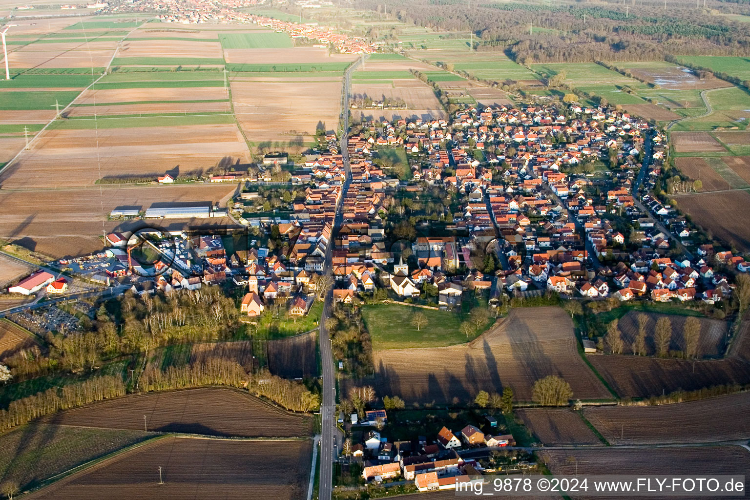Dorf - Ansicht am Rande von landwirtschaftlichen Feldern und Nutzflächen in Minfeld im Bundesland Rheinland-Pfalz, Deutschland von oben gesehen