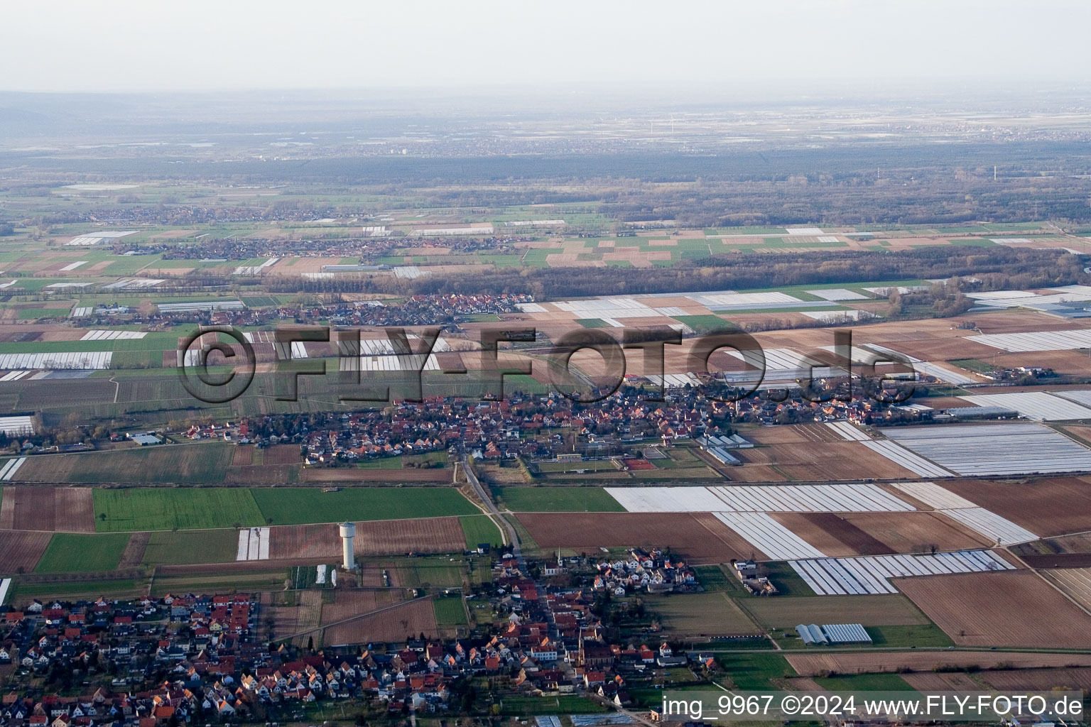 Dorf - Ansicht am Rande von landwirtschaftlichen Feldern und Nutzflächen in Weingarten (Pfalz) im Bundesland Rheinland-Pfalz, Deutschland von oben