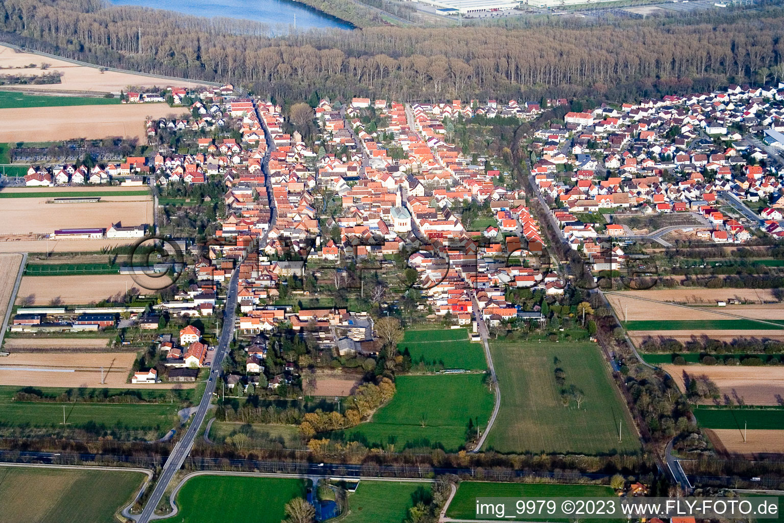 Lingenfeld im Bundesland Rheinland-Pfalz, Deutschland von oben gesehen