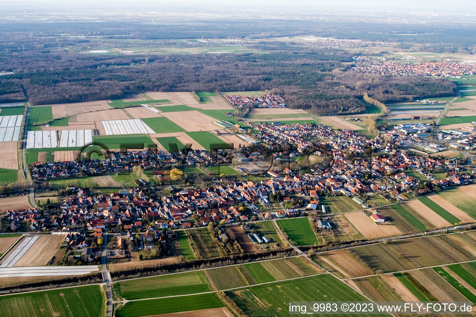 Schwegenheim im Bundesland Rheinland-Pfalz, Deutschland von einer Drohne aus