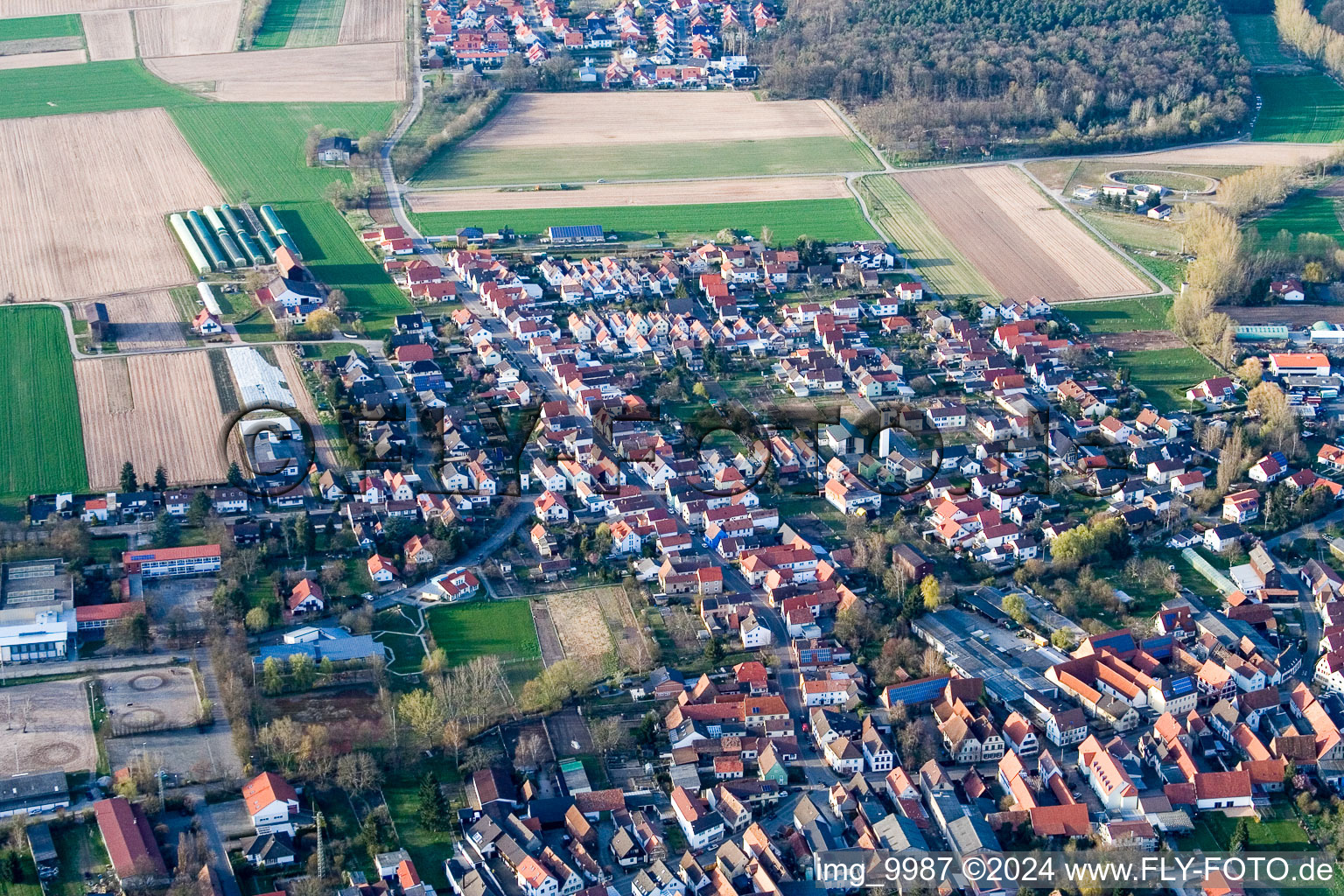 Ortsansicht der Straßen und Häuser der Wohngebiete in Schwegenheim im Bundesland Rheinland-Pfalz, Deutschland von oben