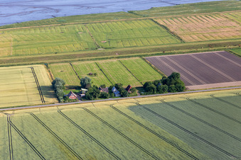 Ehemalige Deichwärterhöfe an der Schülpersieler Straße in Wesselburenerkoog im Bundesland Schleswig-Holstein, Deutschland