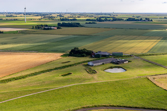 Eggert Wilkens in Wesselburenerkoog im Bundesland Schleswig-Holstein, Deutschland