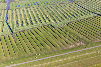 Ehstensiel in Tating im Bundesland Schleswig-Holstein, Deutschland