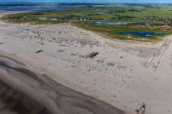 Strandkorb- Reihen am Sand- Strand im Küstenbereich der Nordsee im Ortsteil Sankt Peter-Ording in Sankt Peter-Ording im Bundesland Schleswig-Holstein, Deutschland