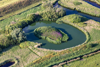 Strukturen einer Kanal- und Salzwiesen-Landschaft in Tating im Ortsteil Brösum in Sankt Peter-Ording im Bundesland Schleswig-Holstein, Deutschland