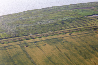Autofriedhof auf Nordfriesisch in Karolinenkoog im Bundesland Schleswig-Holstein, Deutschland