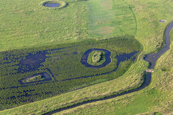 Luftaufnahme von Naturschutzgebiet Oldensworter Vorland an der Eider im Ortsteil Hemmerdeich im Bundesland Schleswig-Holstein, Deutschland