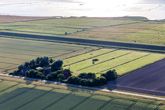 Ehemalige Deichwärterhöfe an der Schülpersieler Straße in Wesselburenerkoog im Bundesland Schleswig-Holstein, Deutschland aus der Drohnenperspektive