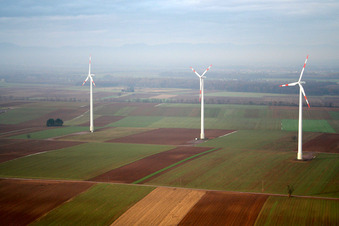Windkraftanlagen in Minfeld im Bundesland Rheinland-Pfalz, Deutschland