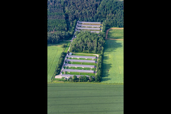 Drei Gleichen/Wechmar