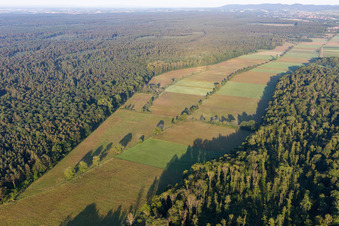 Otterbachtal in Freckenfeld im Bundesland Rheinland-Pfalz, Deutschland